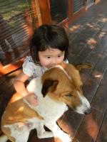 犬と子供 - Photo No.2