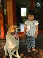 犬と子供 - Photo No.5