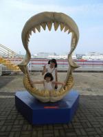 ジンベエザメを見に大阪・海遊館へ - Photo No.2