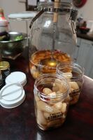うなぎの寝床 #10977