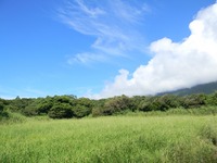 今日の空（2）