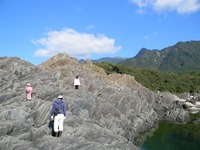 サメ退治を見学に（8）