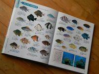 魚図鑑