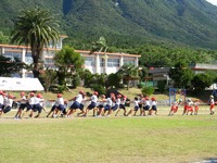 小学校・幼稚園合同運動会 2017（3）