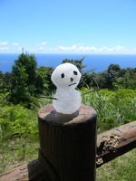 夏の雪だるま（3）