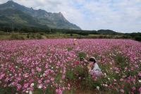 うなぎの寝床 #8005