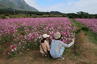 うなぎの寝床 #8006