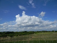雲（2）