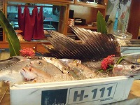 お魚DAY（1）