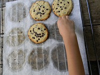 手作りチョコチップクッキー（5）
