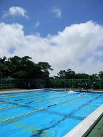 水泳大会（3）