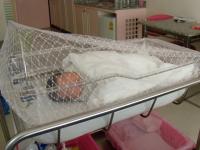 海外で出産・入院 - Photo No.1